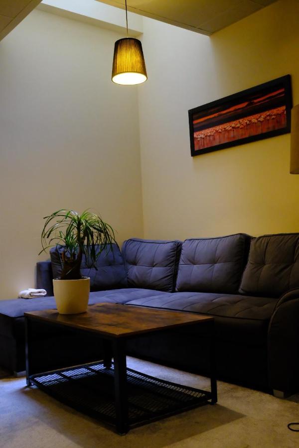 City Apartment Getta クラクフ エクステリア 写真